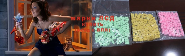 ГАЛЛЮЦИНОГЕННЫЕ ГРИБЫ Новодвинск