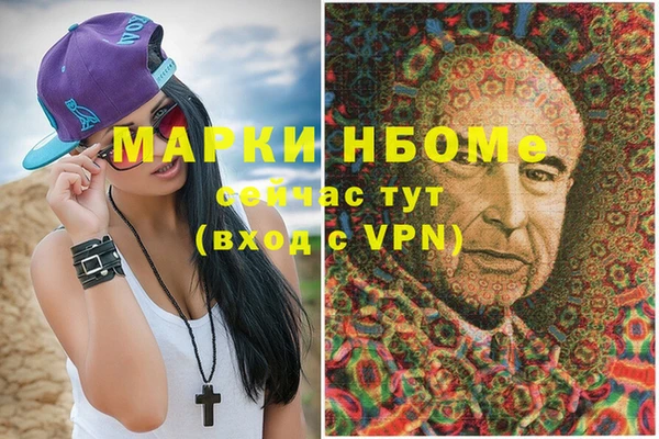 2c-b Новозыбков