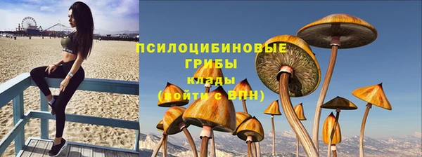 не бодяженный Абдулино