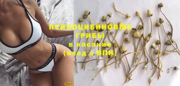 крисы Абинск
