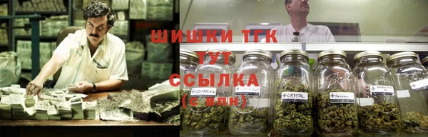 дживик Абаза