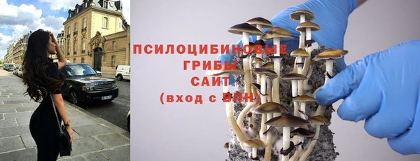 дживик Абаза