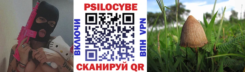 Галлюциногенные грибы прущие грибы  купить наркотики сайты  Правдинск 